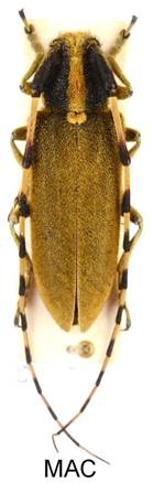 EAA_8565  INTERN..jpg